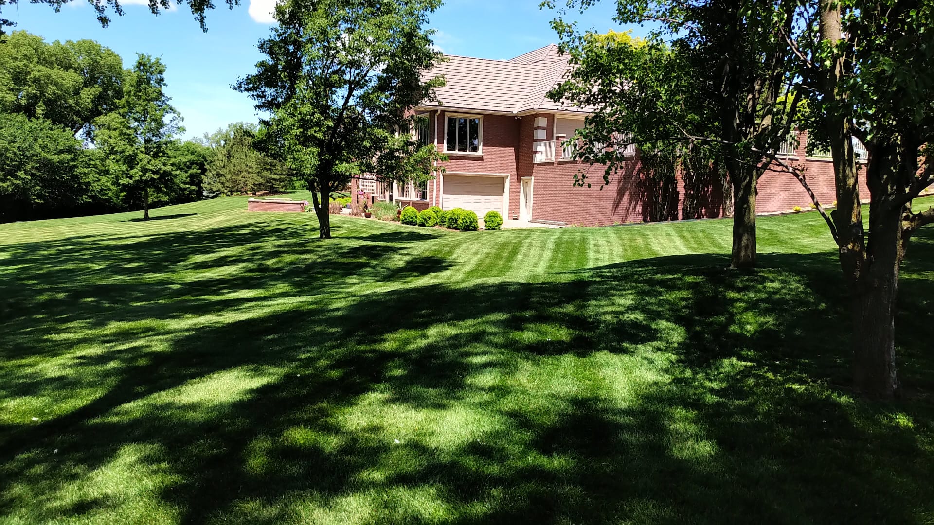 Lawn care program results